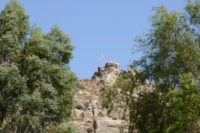 ENSC00701.jpg